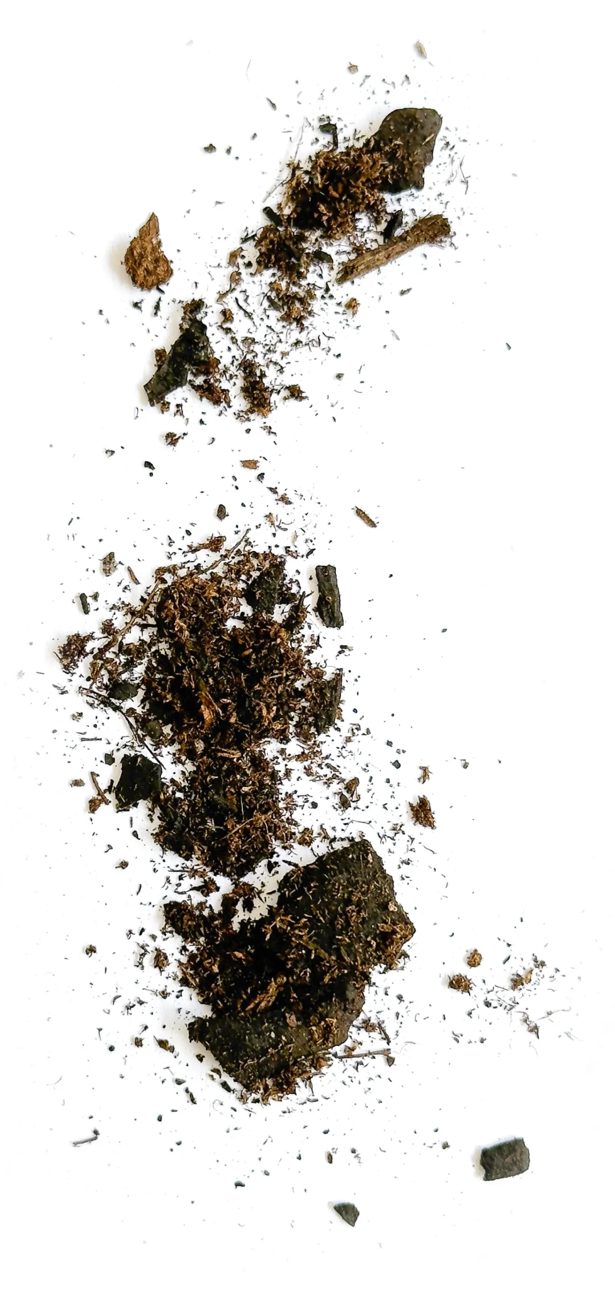 The Dirt That Refused To Die
