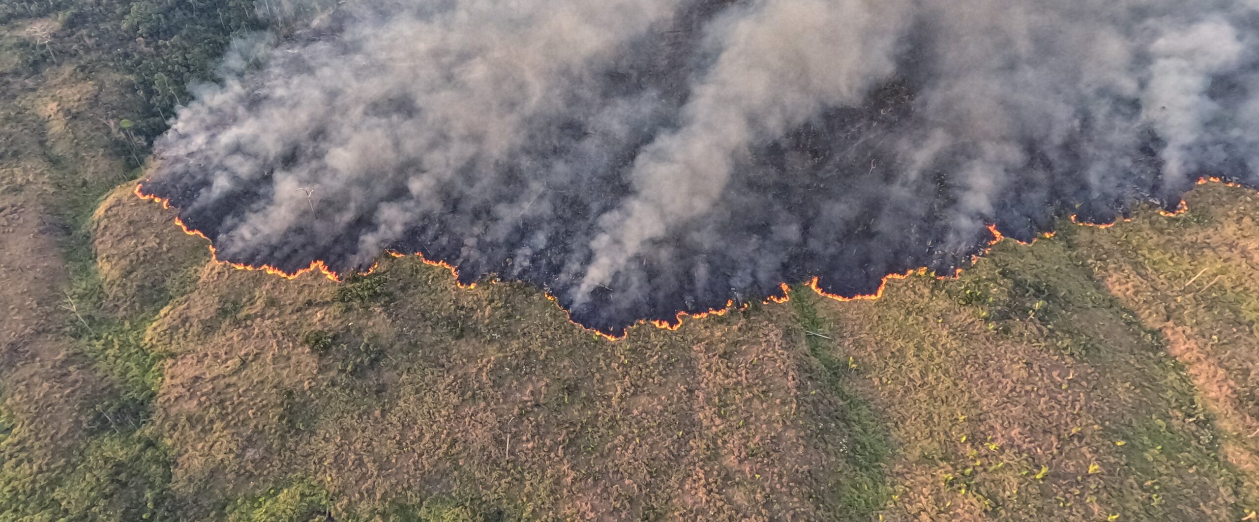 Amazon deforestation alerts fall to lowest 12-month level since 2014, show Brazilian data