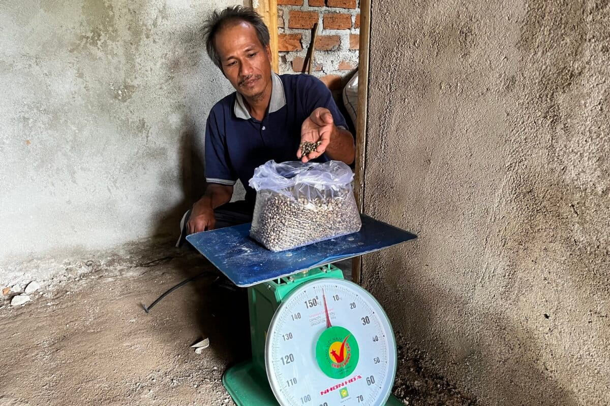 In Sumatra, social forestry links conservation with livelihoods