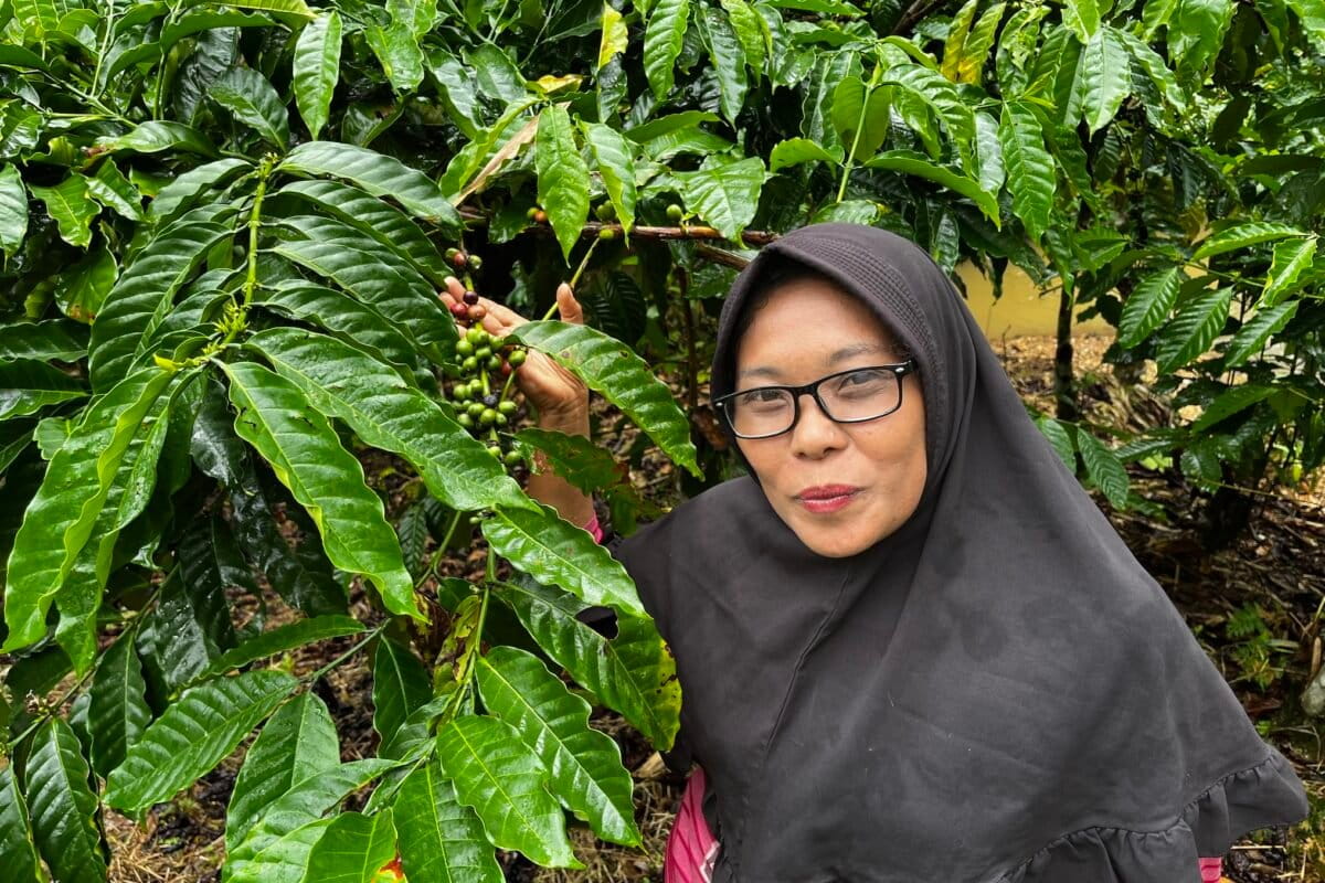 In Sumatra, social forestry links conservation with livelihoods