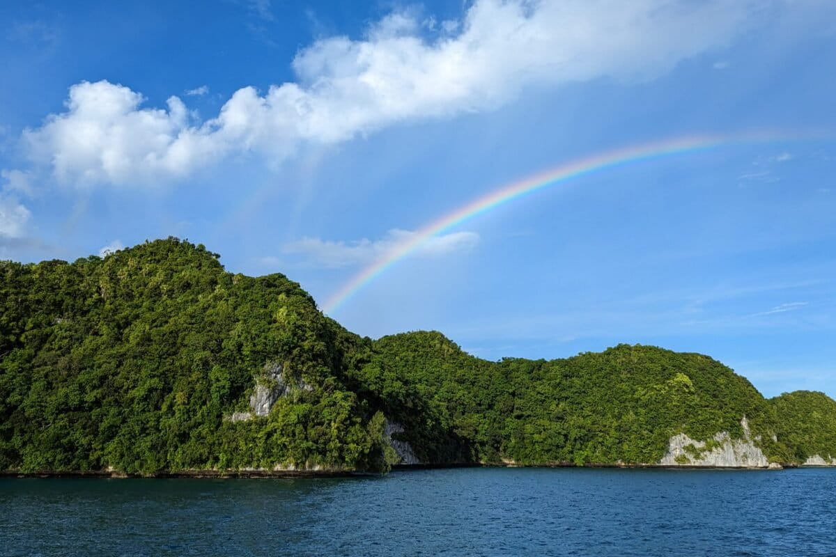 Researchers find dramatic restoration on land and sea after island rat removal