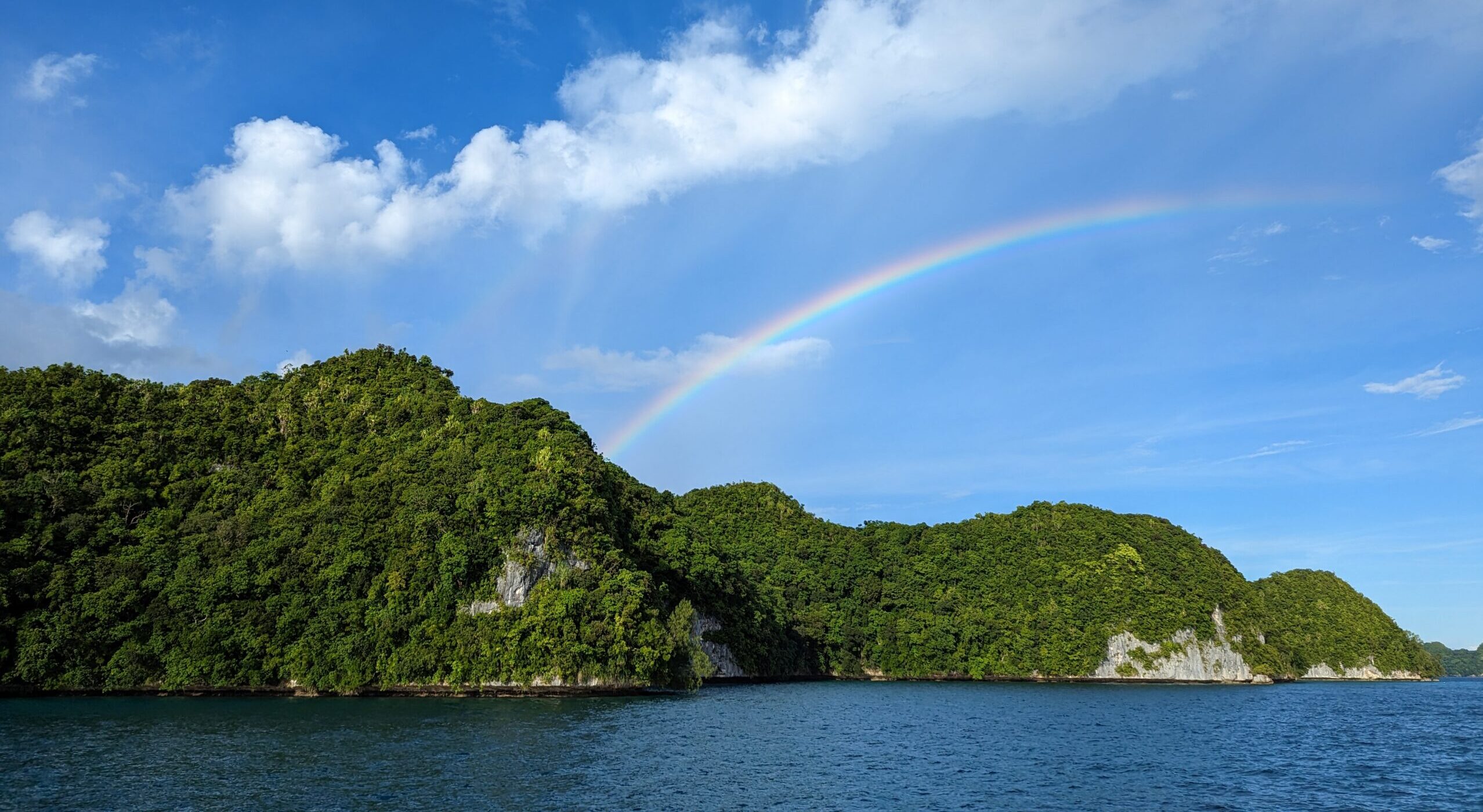 Researchers find dramatic restoration on land and sea after island rat removal