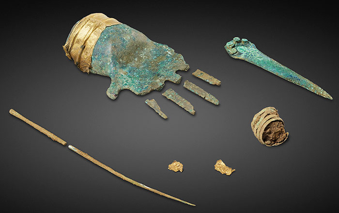 Ancient Yeasts Identified on Ötzi the Iceman