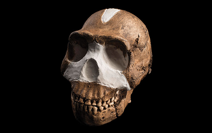 Traces of Homo erectus Fire Use Dated to 1.8 Million Years Ago