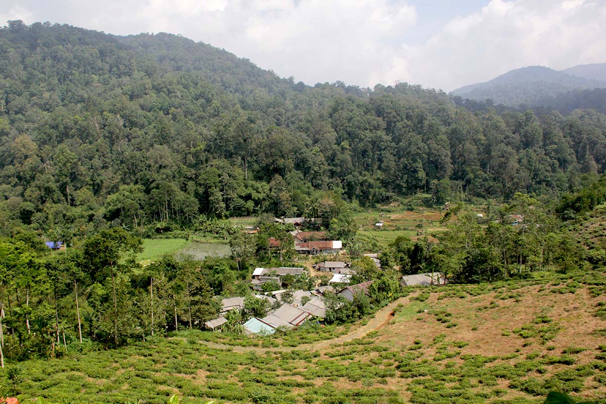 Citalahab Village, Bogor Regency, West Java, situated at the foot of the TNGHS.