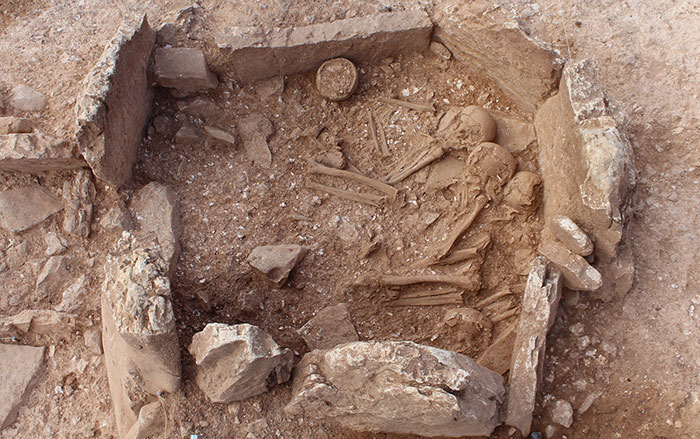 Signs of Respiratory Illness Found on 5,000-Year-Old Children's Bones in Spain