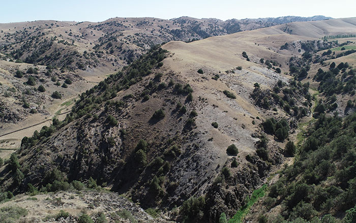 Evidence of Surgery 4,000 Years Ago Uncovered in Central Asia