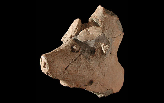 Archaeologists Explore Villa Beneath High School in Rome