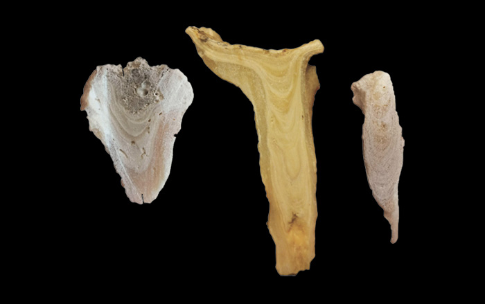 Stalactite samples