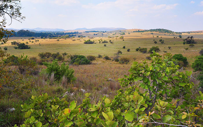 Traces of Homo erectus Fire Use Dated to 1.8 Million Years Ago
