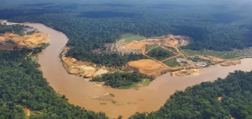 Mining in a Wildlife Reserve, alongside a river in the Democratic Republic of Congo