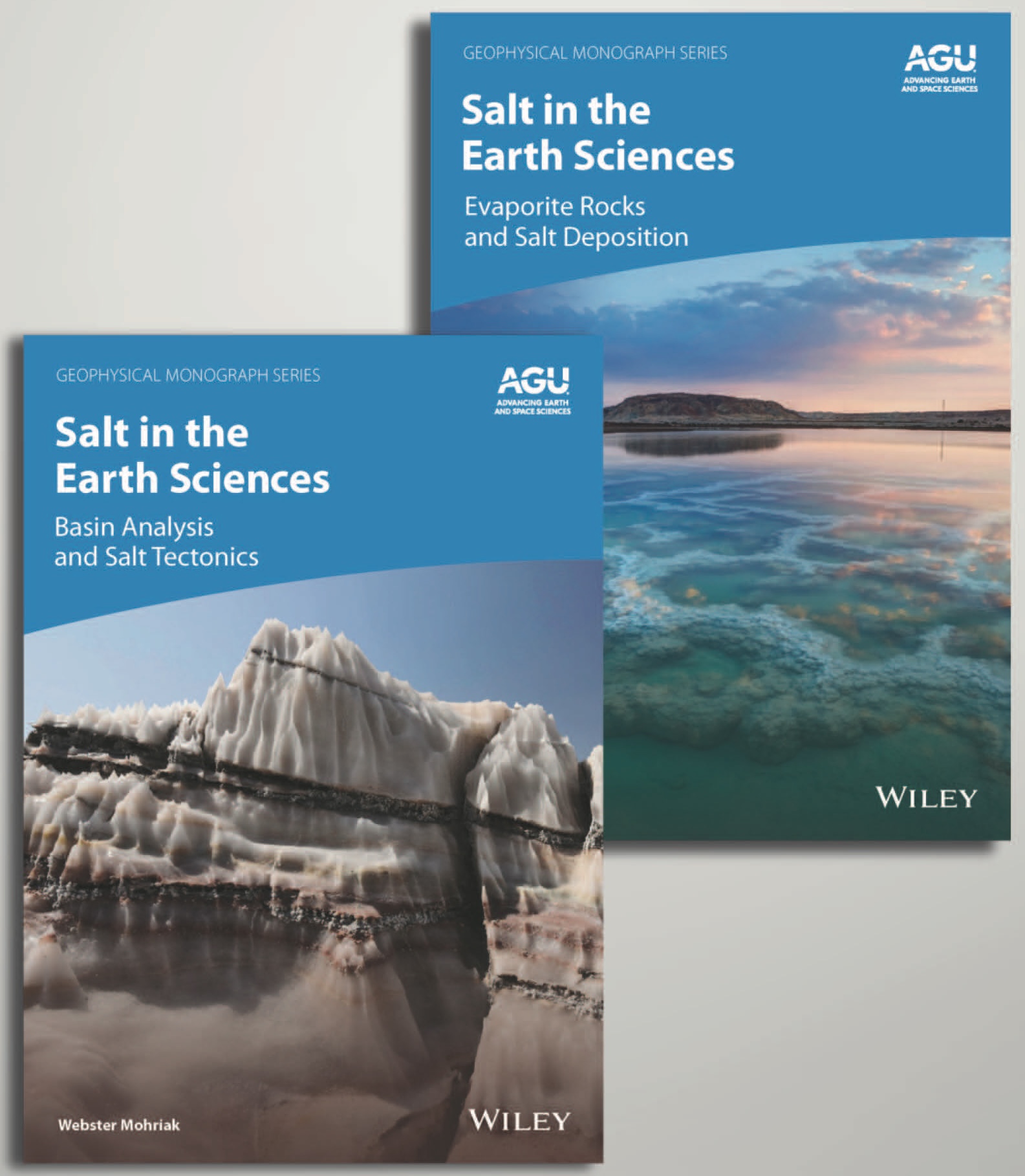 The Editorial Board Marks the Latest Chapter in AGU Books