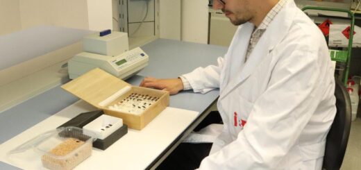 Zubný kameň naznačuje, že neandertálci jedli hmyz častejšie, než sa predpokladalo
