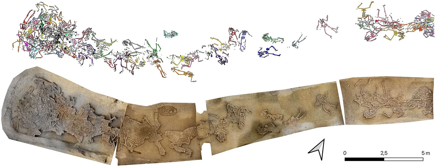 Mass grave in excavated ditch, Vráble, Slovakia, with skeletons outlined in various colors above