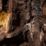 Zuby Homo naledi prezradili staré bielkoviny aj nečakaný detail o skupine z jaskyne Rising Star