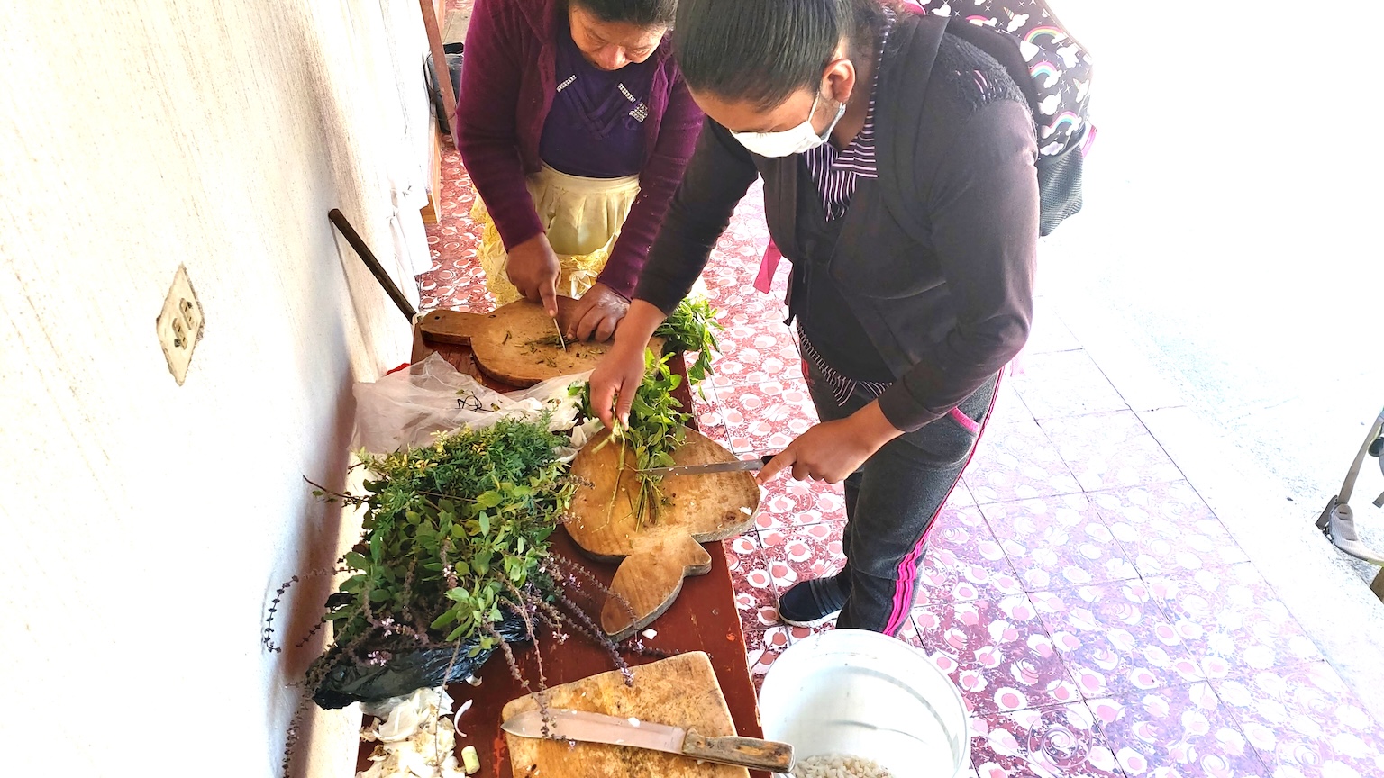 Ancient Maya knowledge helps Guatemalan farmers cut agrochemical use