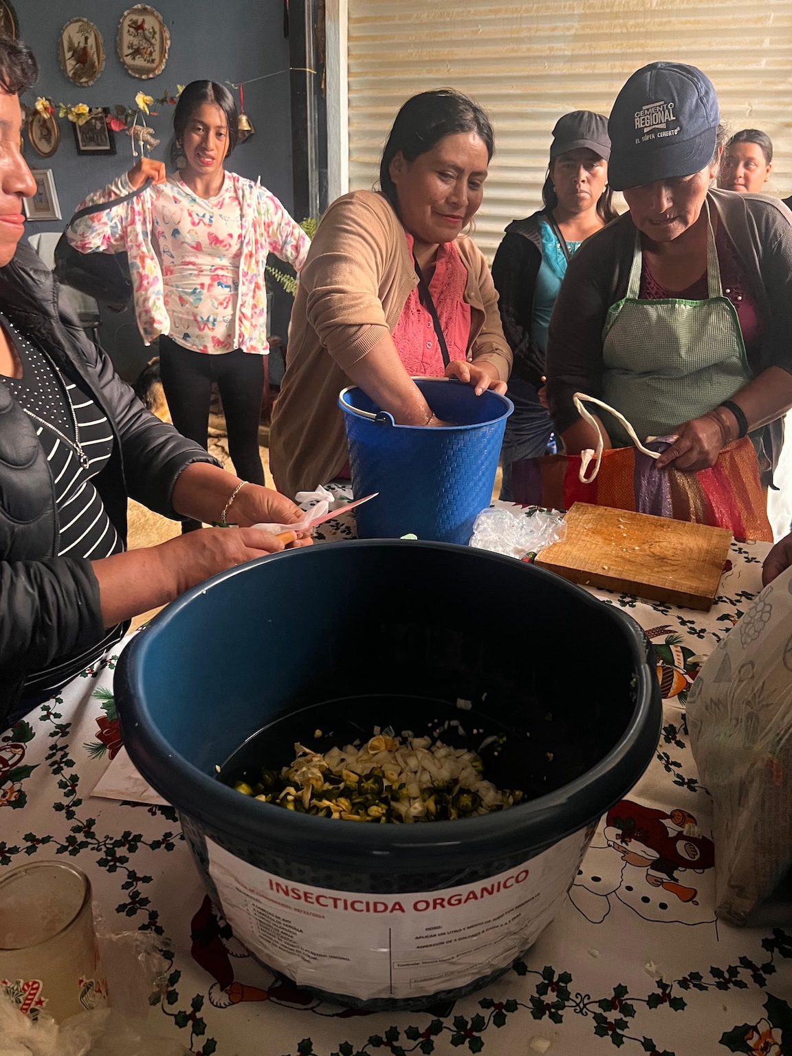 Ancient Maya knowledge helps Guatemalan farmers cut agrochemical use