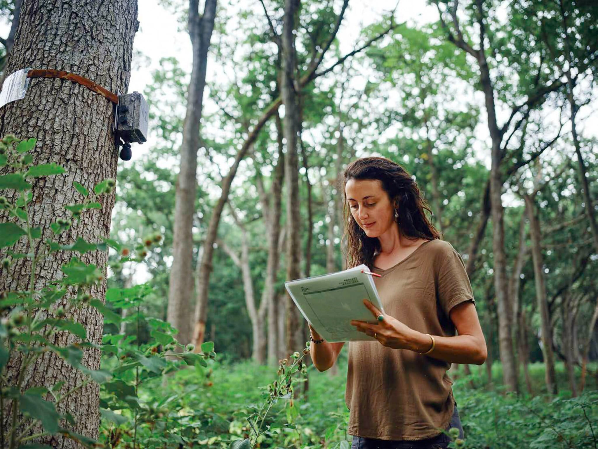 Soundscape Baselines Site in Baraboo Hills, Wisconsin, USA, includes view of bioacoustic recorder and project documentation