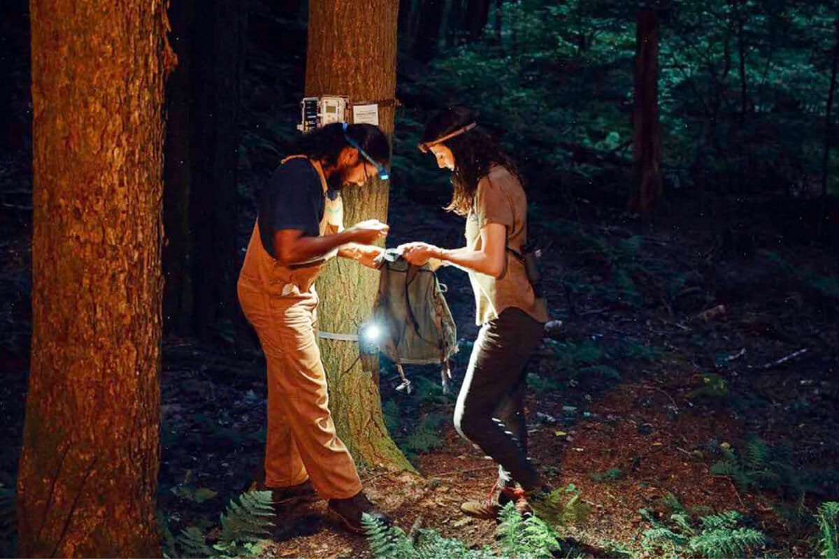 Why conservation urgently needs acoustic baselines