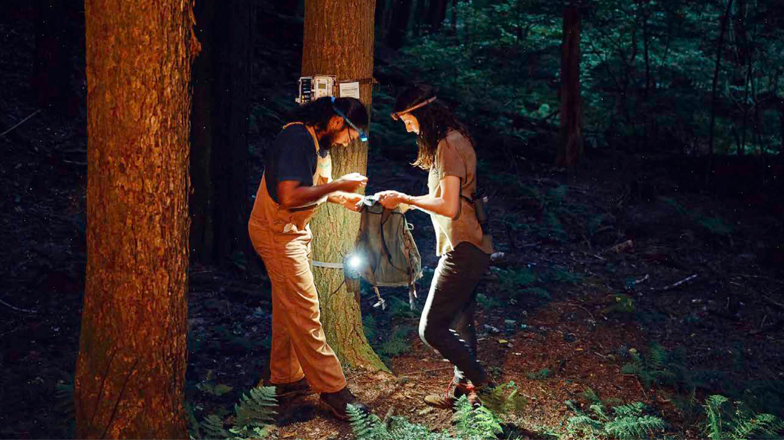 Why conservation urgently needs acoustic baselines