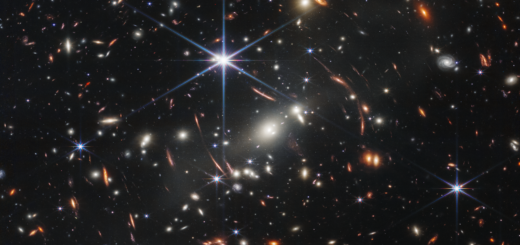 Cool Stars 23