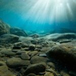Cambridge researchers awarded Advanced Grants from the European Research Council - 2026
