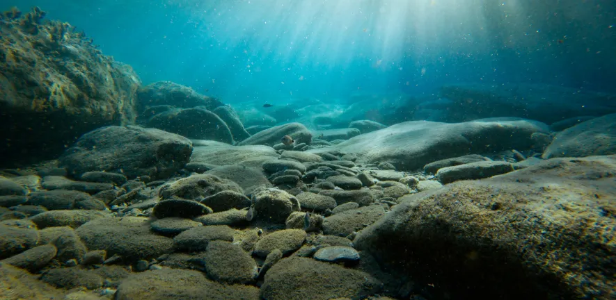 The ocean floor