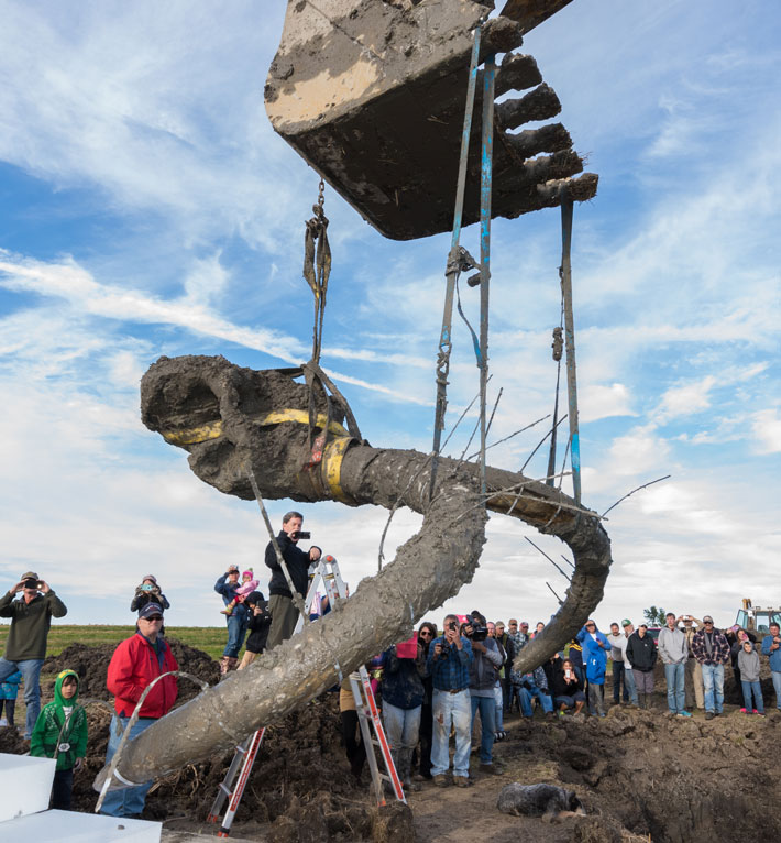 Brass Instrument Unearthed at Michigan’s Colonial Michilimackinac