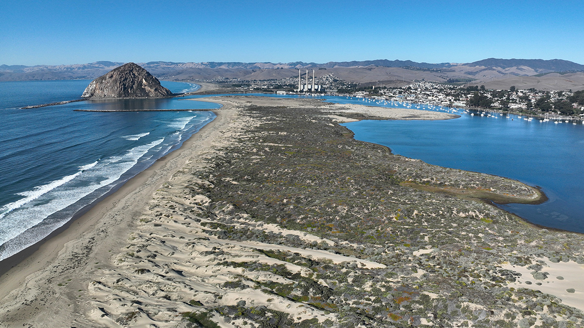 Extensive Sand Dune Loss Threatens California Coast