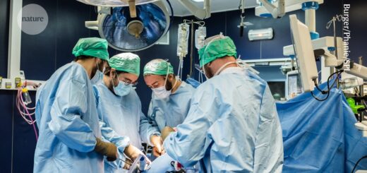 CAR-T terapia otvorila cestu k transplantácii obličky trom ľuďom s mimoriadne rizikovou imunitnou reakciou