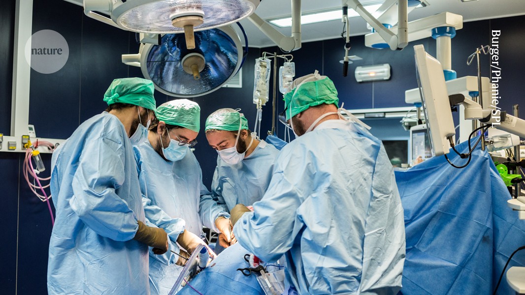 CAR-T terapia otvorila cestu k transplantácii obličky trom ľuďom s mimoriadne rizikovou imunitnou reakciou