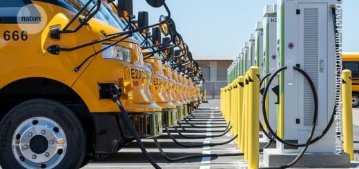 Elektromobily v Číne znížili znečistenie ovzdušia a podľa odhadov zabránili státisícom predčasných úmrtí