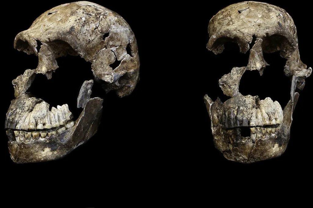 Did These Prehistoric Primates Really Bury Just Their Female Dead Deep in a Cave?