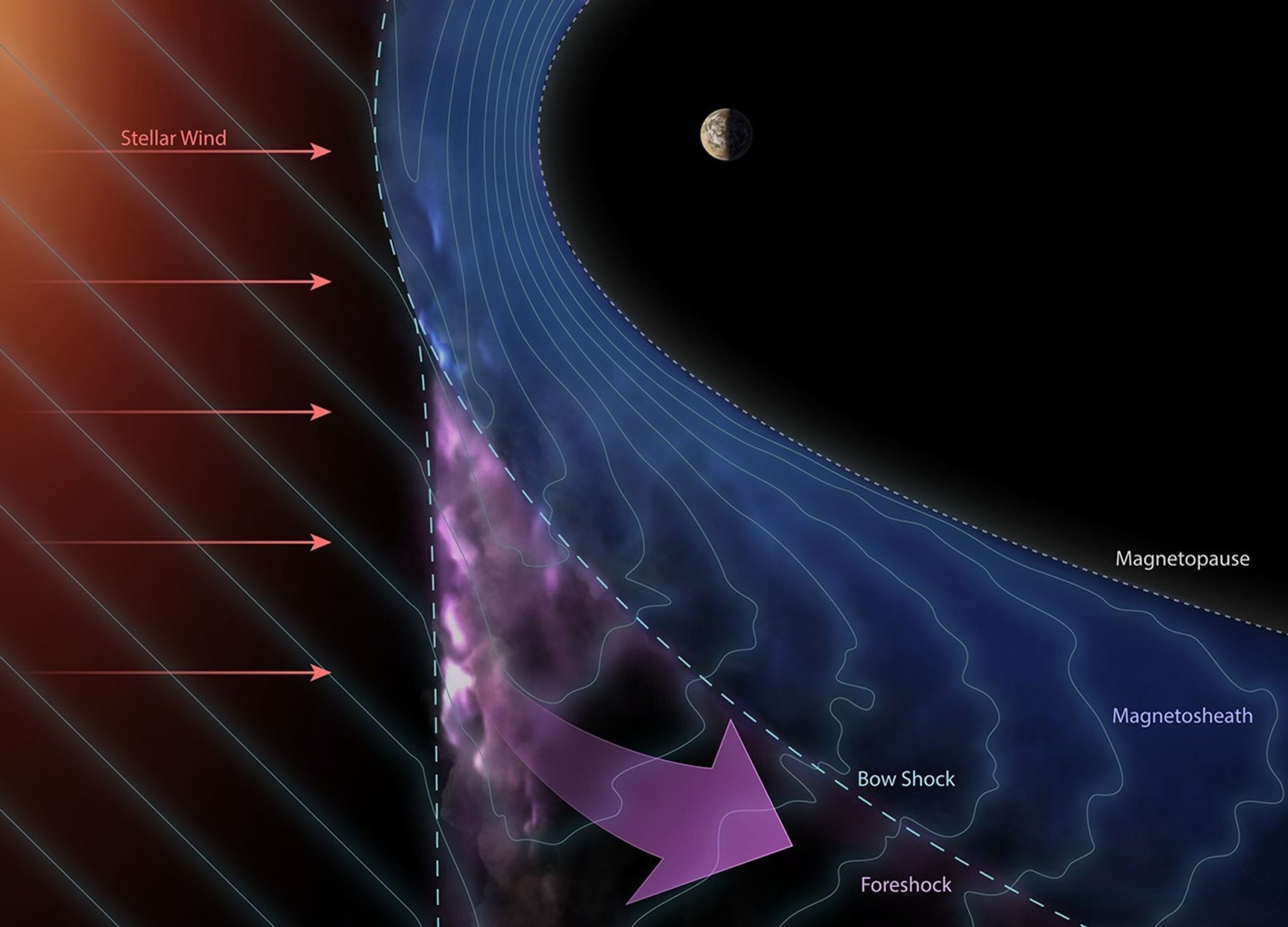 An artist's concept shows a planet at the top center with a blue band arcing around it in a horseshoe shape. The blue band is labeled the magnetosheath. The inner part of this blue band, closest to the planet, is labeled the magnetopause. The outer edge of the blue band is labeled the bow shock. Just outside the blue band, to the lower left of it, is a purple wedge-shaped area labeled the foreshock. On the far left is a red shaded area with red arrows pointing from left to right, appearing to push against the magnetosheath (blue region) and foreshock (purple) region, labeled the stellar wind.