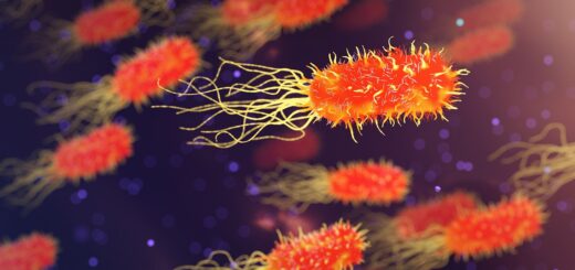 bacteria, microbiology, organism, biology, science, medicine, healthcare, microscopic, disease, genetic, bacteria, bacteria, bacteria, bacteria, bacteria