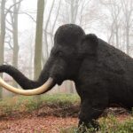 Mamut z Taimeringu zrejme po smrti rozobrali paleolitickí lovci a zberači mamut, mammal, nature, extinct, animal, pachyderm