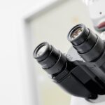 Kardiometabolické dlhodobé ochorenia často prichádzajú spolu. Prehľad ukazuje, že prevencia aj liečba musia fungovať na viacerých úrovniach naraz scope, microscope, camera, experiment, sience, scope, scope, microscope, microscope, microscope, microscope, microscope, experiment, sience
