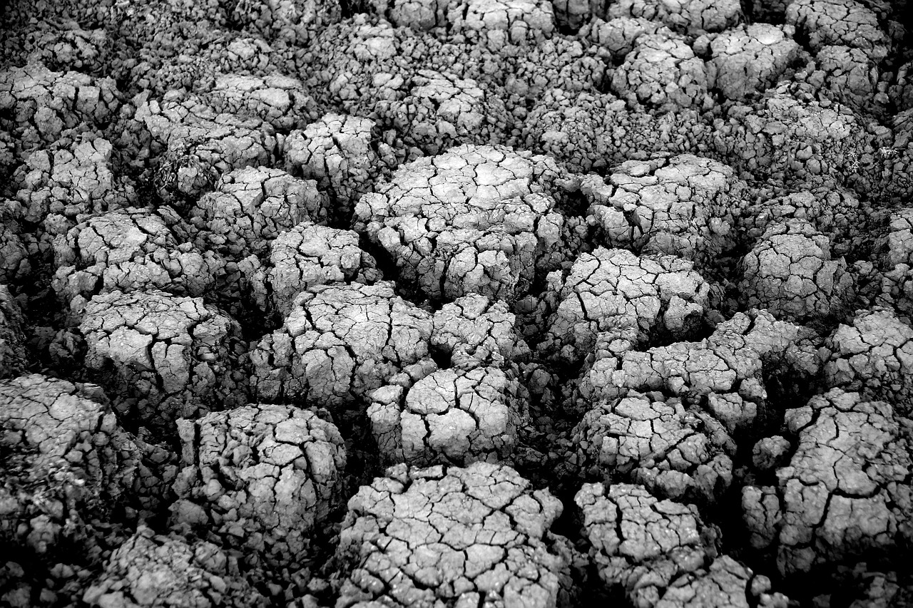 earth, cracks, drought, desert, texture, monochrome, black and white, arid, dry ground, arid ground, nature