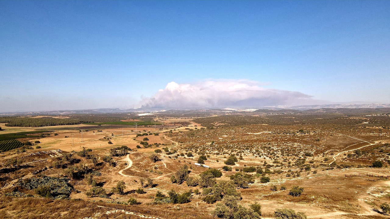 bushfire, wildfire, judean hills, jerusalem, israel, smoke, landscape, bushfire, bushfire, bushfire, wildfire, wildfire, wildfire, judean hills, jerusalem, jerusalem, jerusalem, israel, israel, israel, israel, israel
