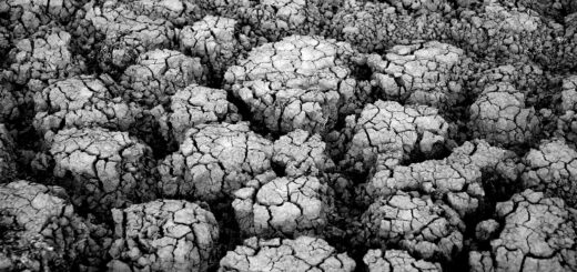 earth, cracks, drought, desert, texture, monochrome, black and white, arid, dry ground, arid ground, nature