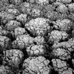 earth, cracks, drought, desert, texture, monochrome, black and white, arid, dry ground, arid ground, nature