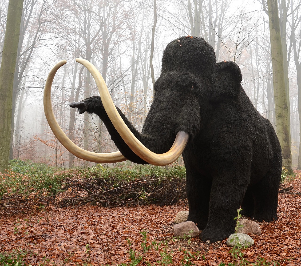 mamut, mammal, nature, extinct, animal, pachyderm
