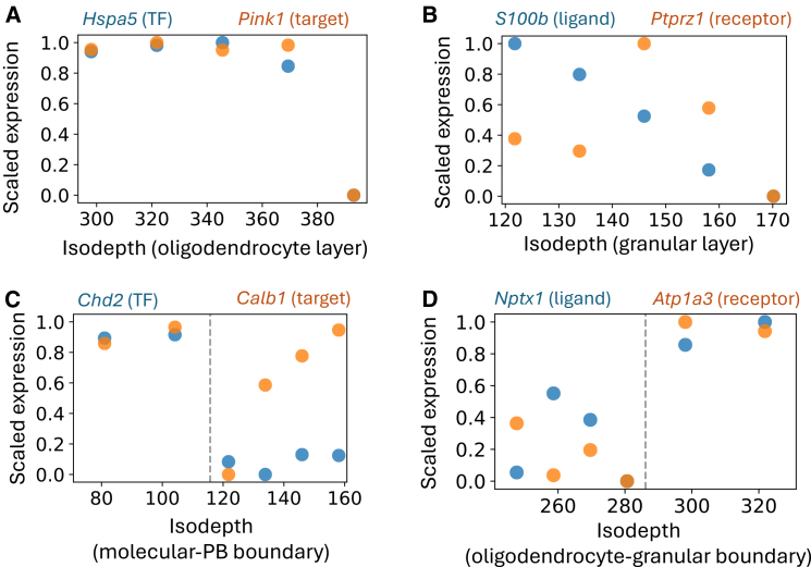 Decoding the causal drivers of spatial cellular topology.