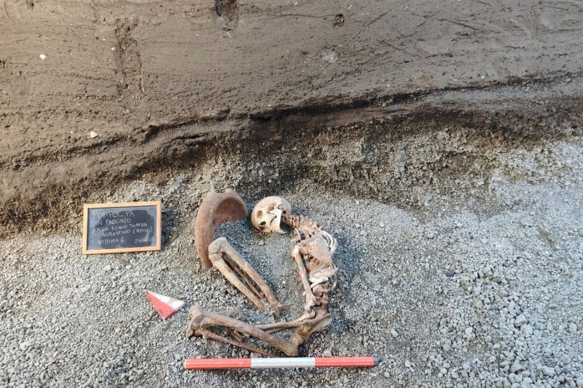 This image released by the Italian Culture Ministry on Monday, April 27, 2026, shows a victim of the AD 79 eruption of Mount Vesuvius, in the Pompeii archaeological area near Naples in southern Italy. (Italian Culture Ministry via AP)