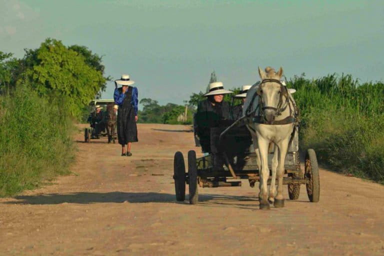Mennonites in the municipality of Bacalar.