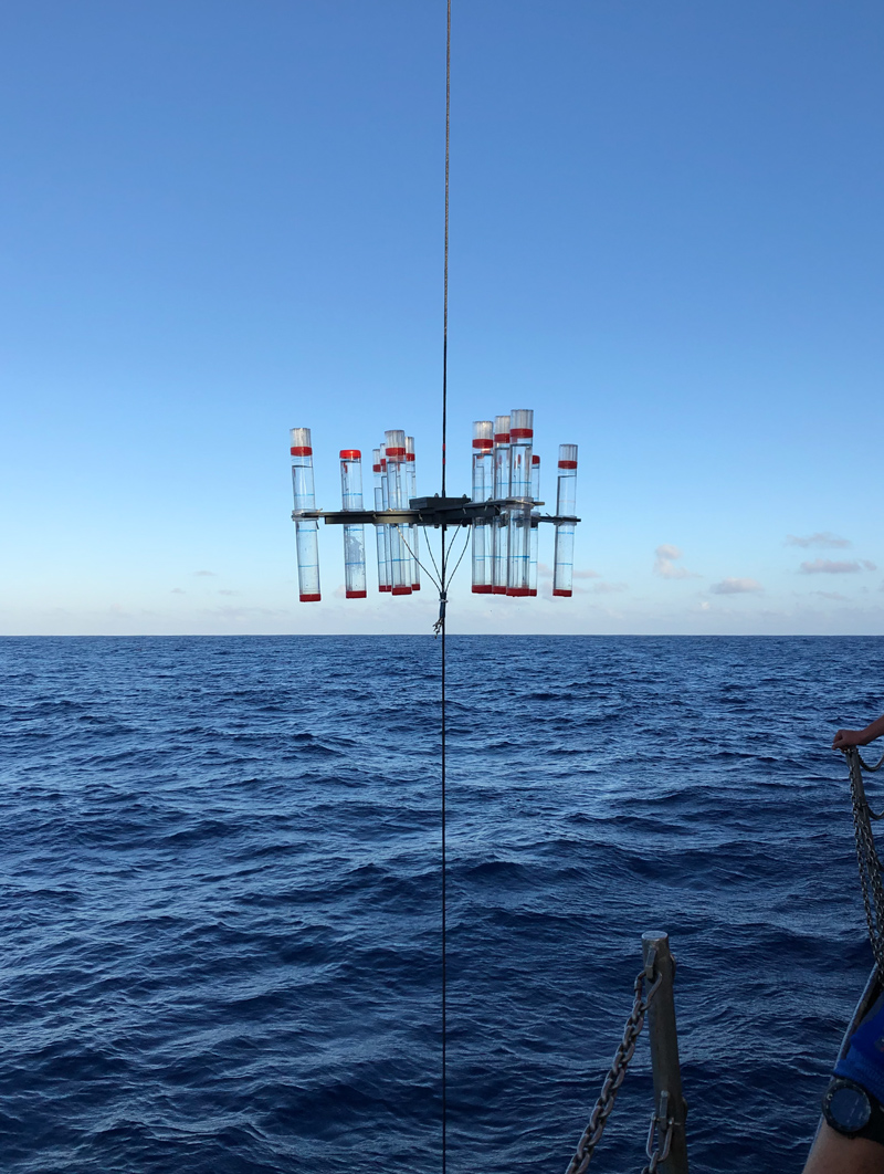 A sediment trap array comprising 12 large clear sample tubes is held by a cable over the ocean off the side of a ship.