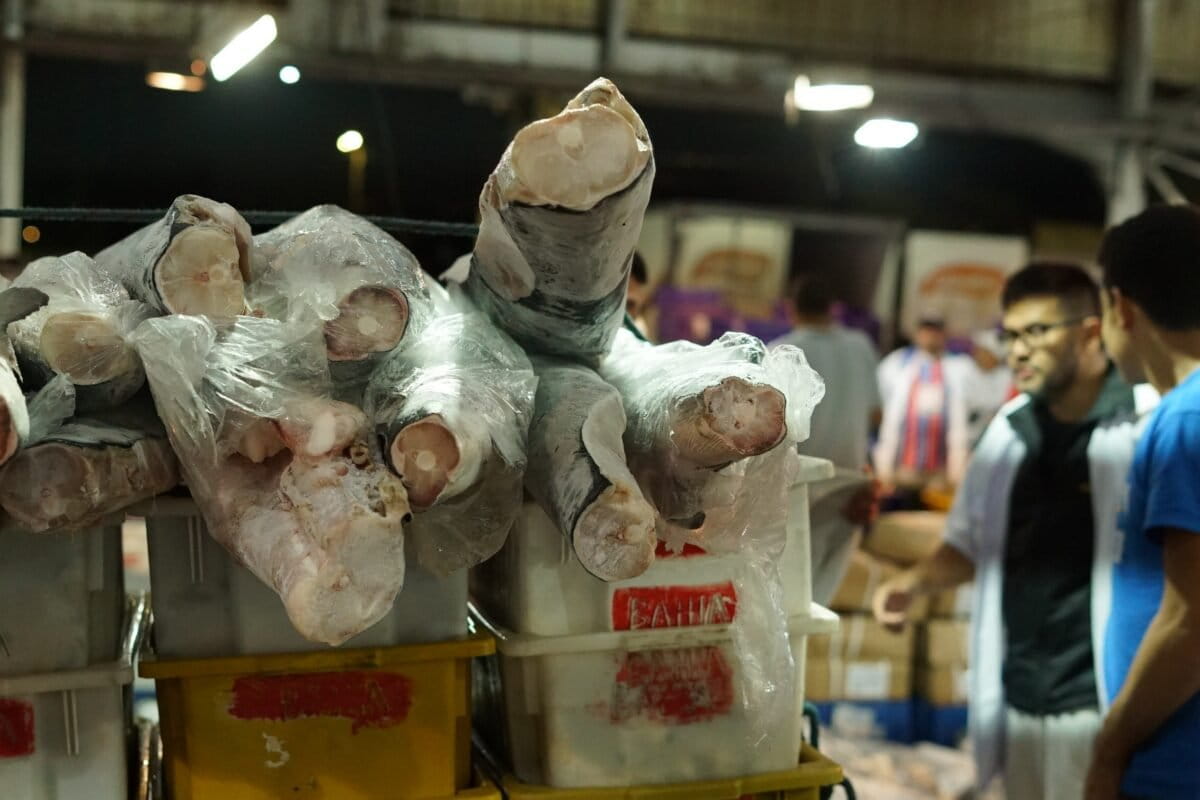 Shark meat in Brazil. Image by Philip Jacobson/Mongabay.