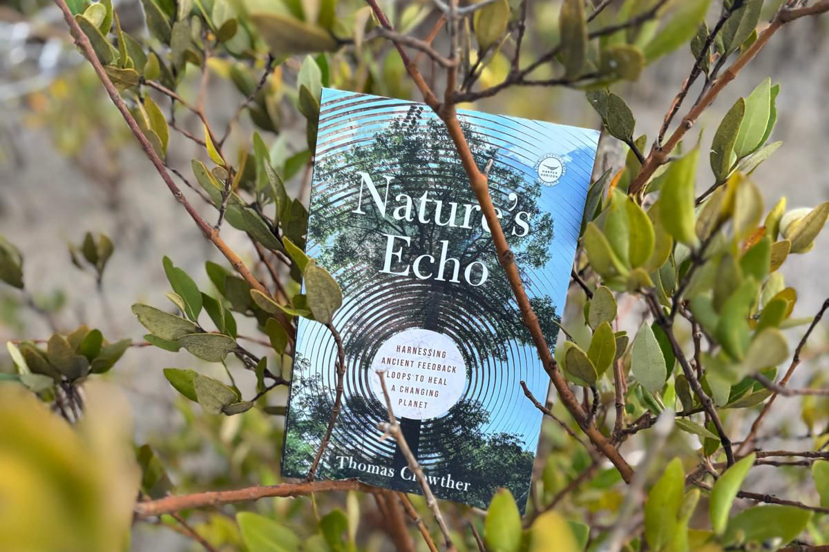Nature's Echo