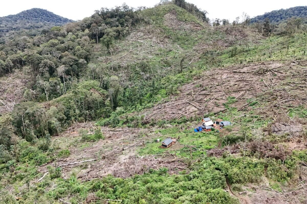 In Sumatra, social forestry links conservation with livelihoods