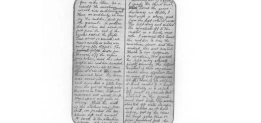 Pilot Flight Logs